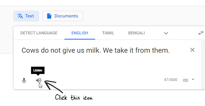 Google translate image to text
