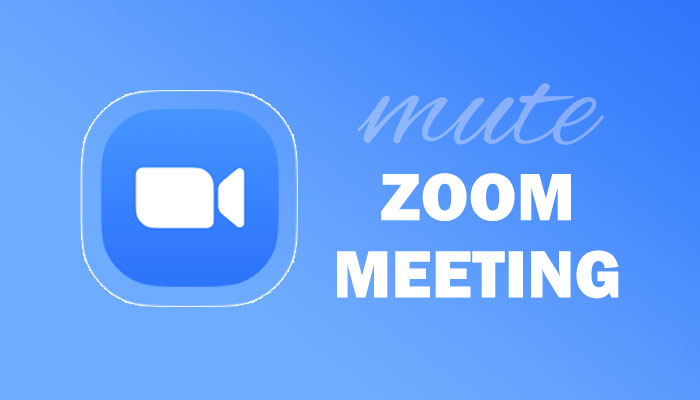 how to mute zoom meeting without muting computer