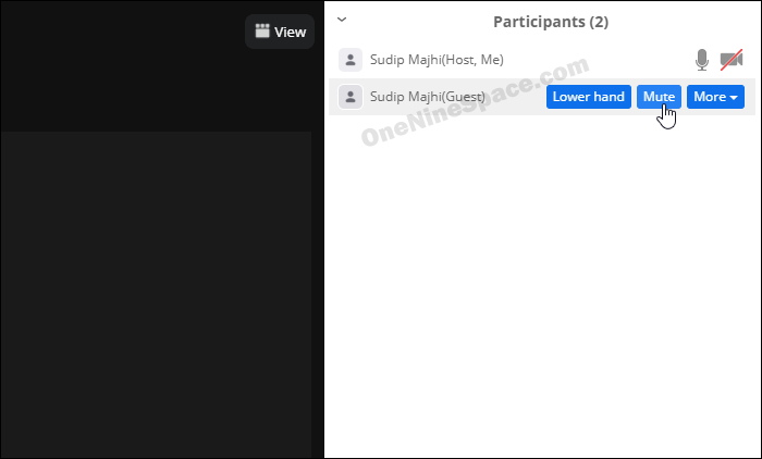 Mute someone on Zoom