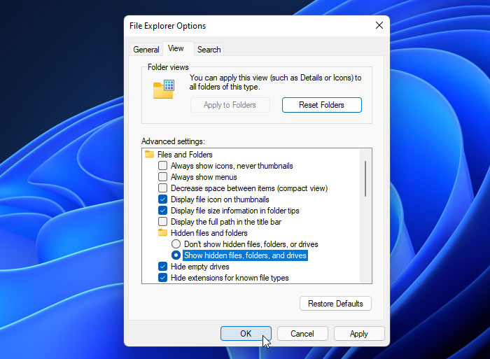 How to Show or Unhide Hidden Files and Folders in Windows 11