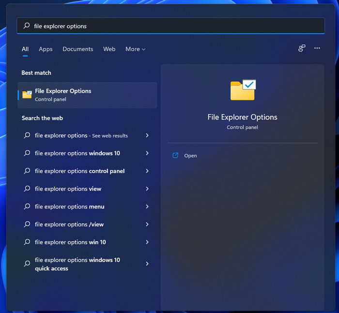 file explorer options search result in windows 11