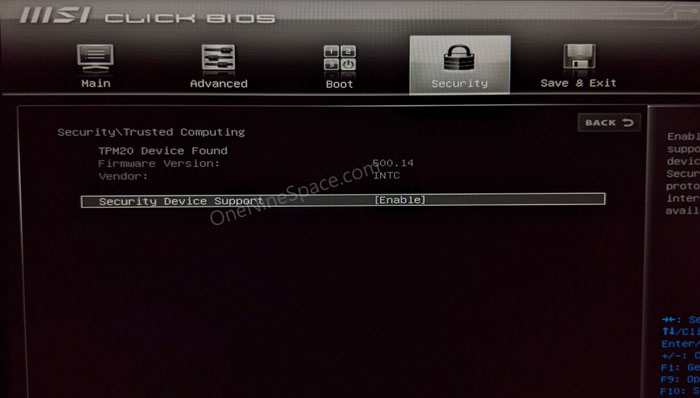 How do I enable TPM in MSI BIOS